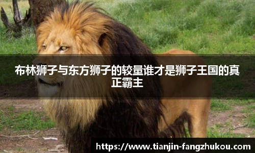 球盟会qmh
