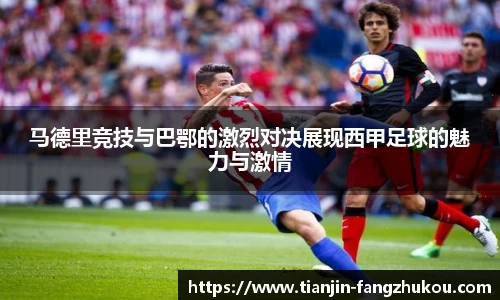 球盟会qmh